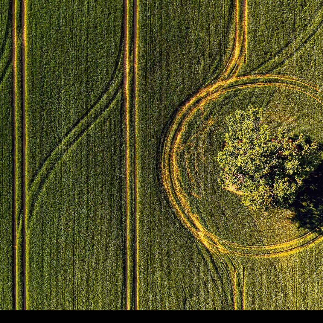 Breaking new ground: decentralised renewable nitrogen fertilisers.